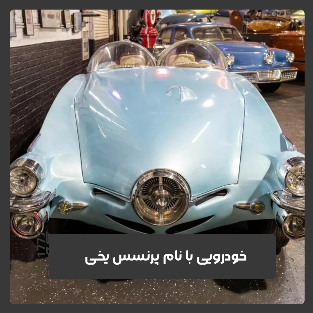 خودرویی با نام پرنسس یخی