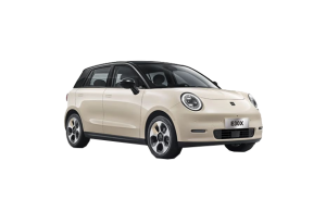 رنگ بندی خودرو JAC E30 X