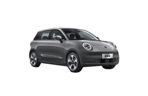 رنگ بندی خودرو JAC E30 X