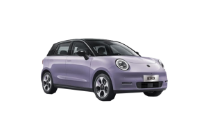 رنگ بندی خودرو JAC E30 X