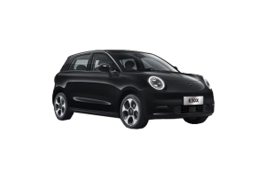 رنگ بندی خودرو JAC E30 X